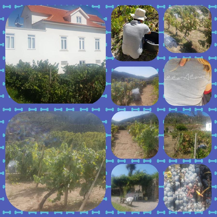 Villa Alzira Seia Zewnętrze zdjęcie