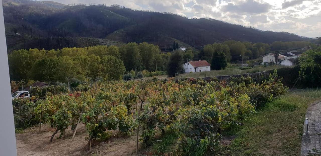 Villa Alzira Seia Zewnętrze zdjęcie