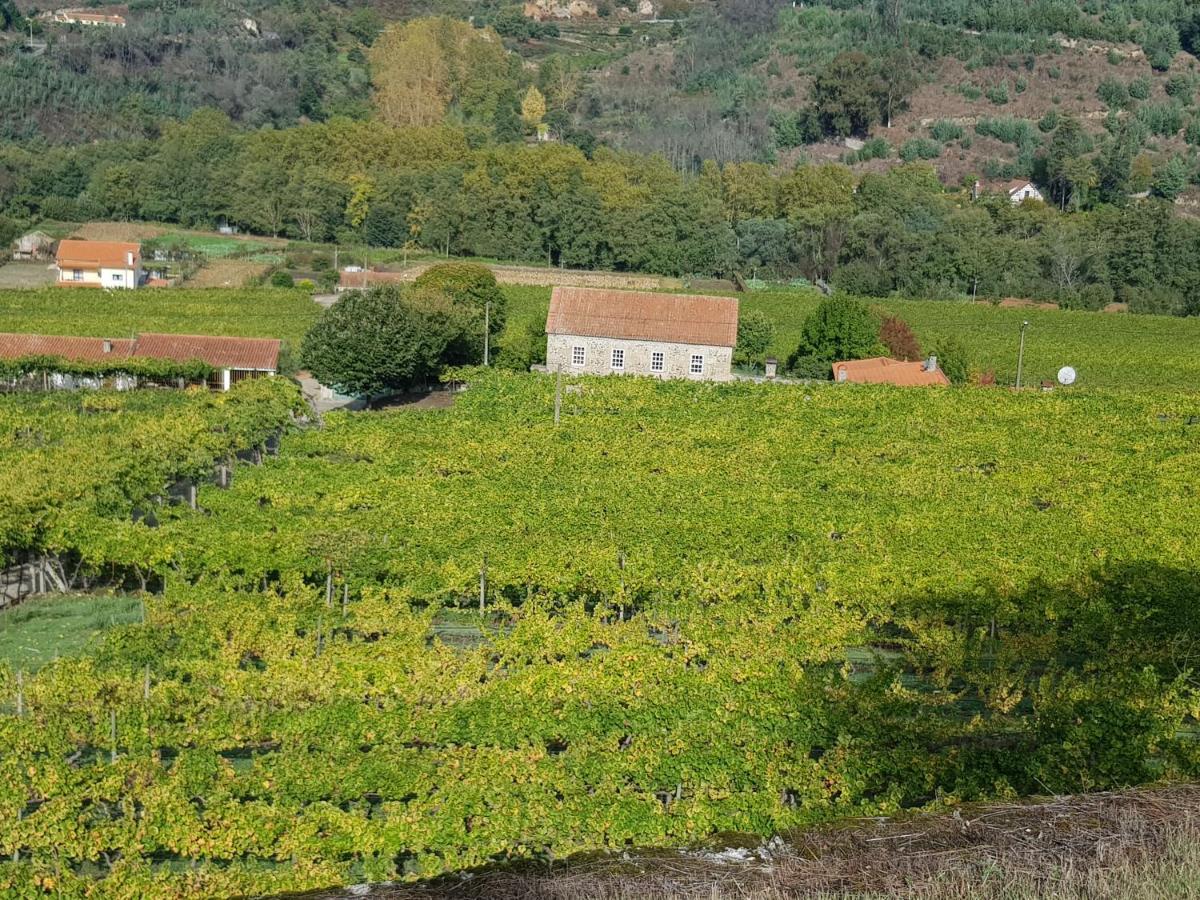 Villa Alzira Seia Zewnętrze zdjęcie